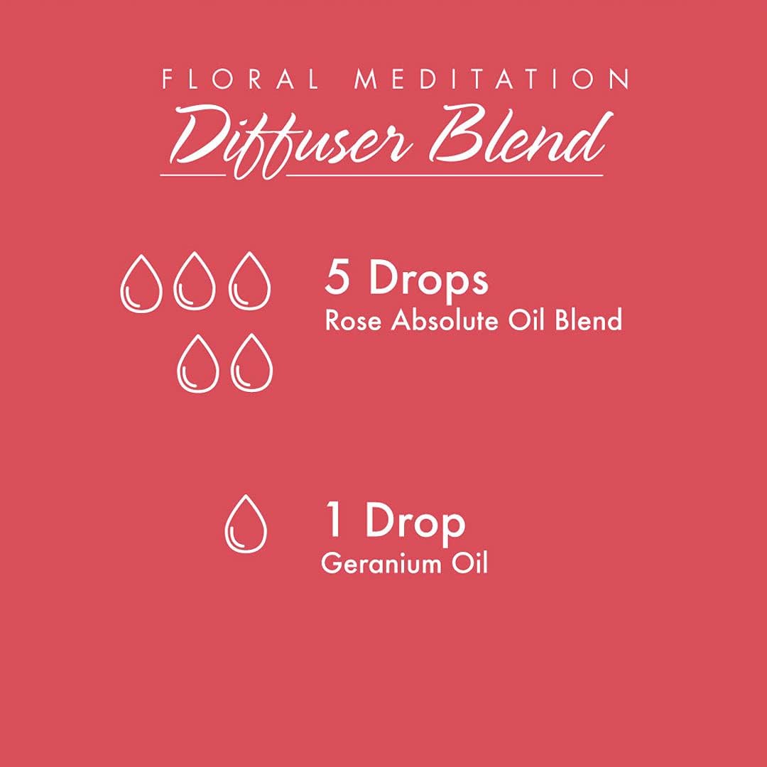 Now Essential Oils, Rose Absolute Oil 5% Blend, 30 Ml
