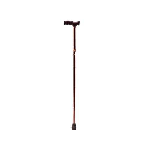 Caremax Walking Cane Bronze Model Ca833l2