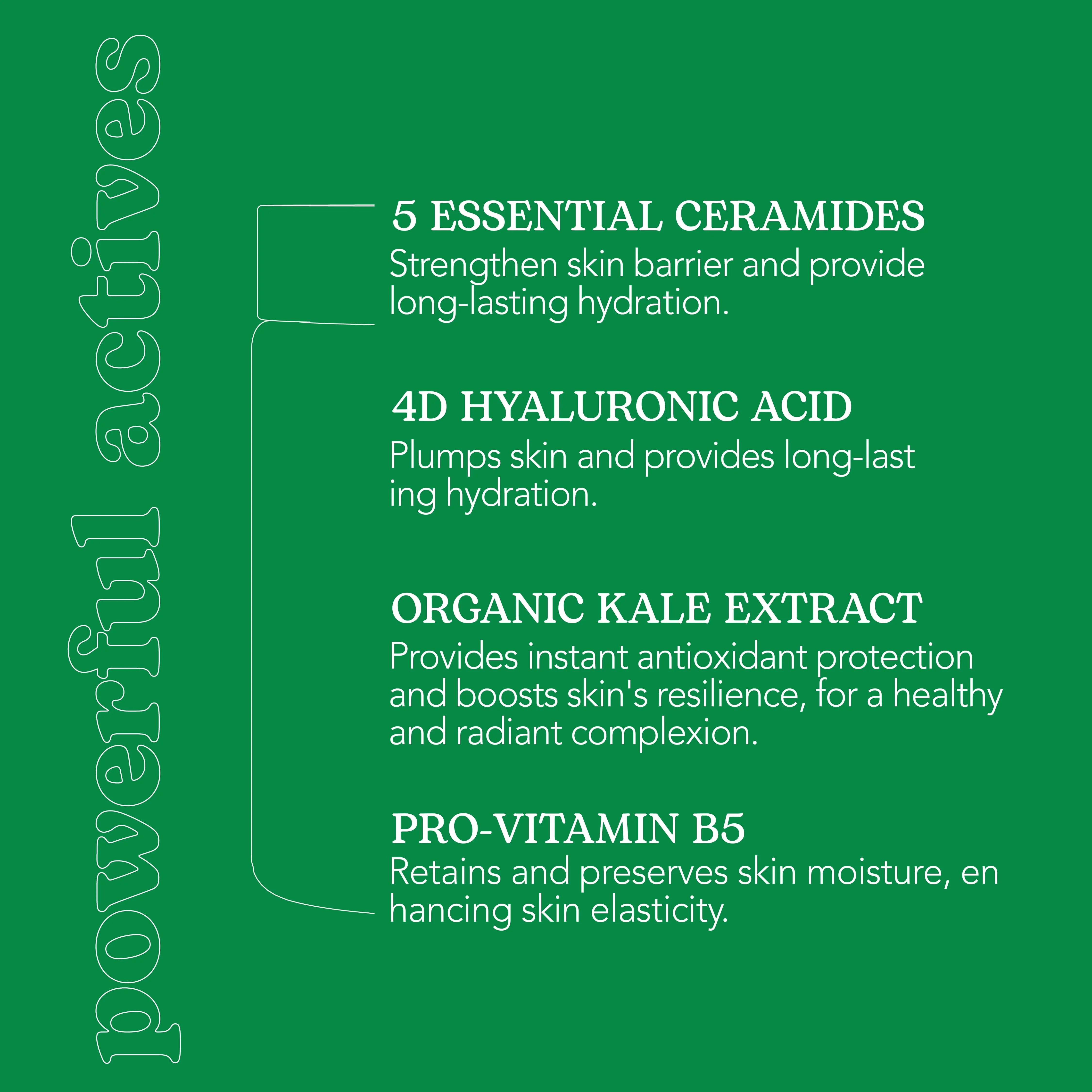 Beesline Everyone Barrier Cream (bl1726)