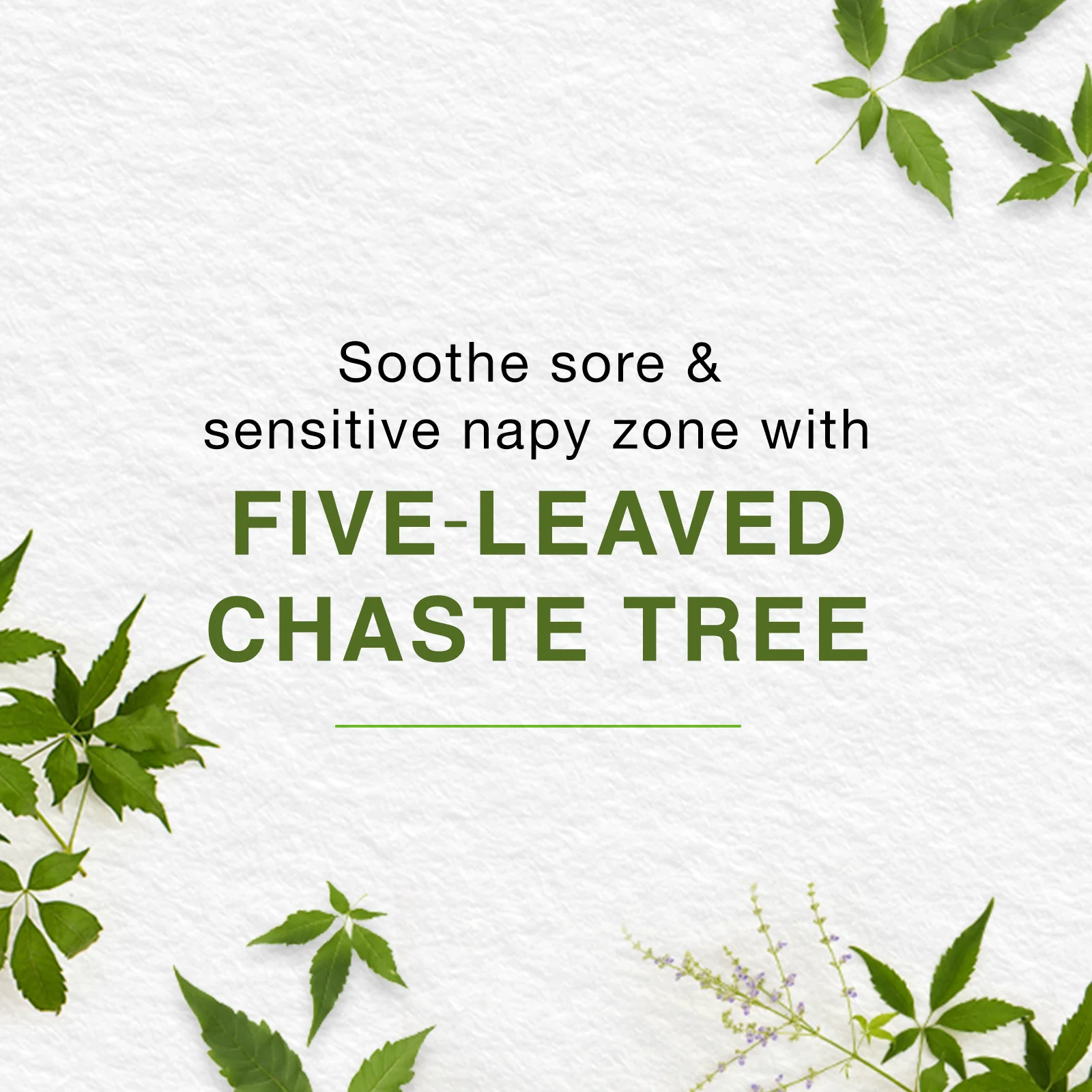 Himalaya Baby Diaper Rash Cream 100 Ml