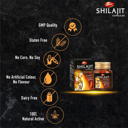 Dabur Shilajit Capsules 100's with Purified Shilajit Extract for Energy, Stamina, Vitality & Men's Wellness