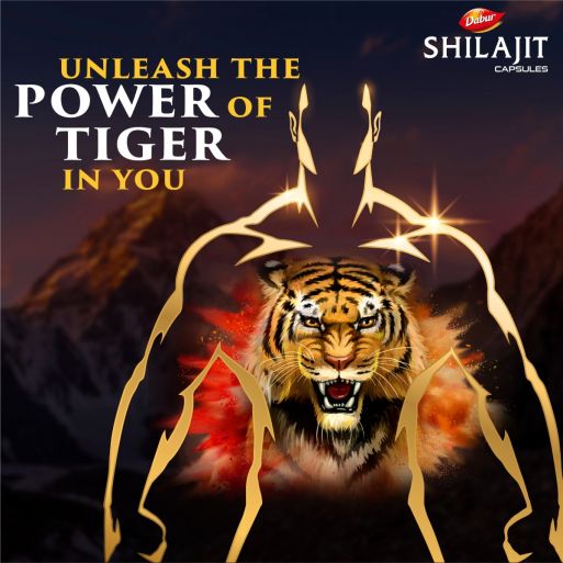 Dabur Shilajit Capsules 100's with Purified Shilajit Extract for Energy, Stamina, Vitality & Men's Wellness