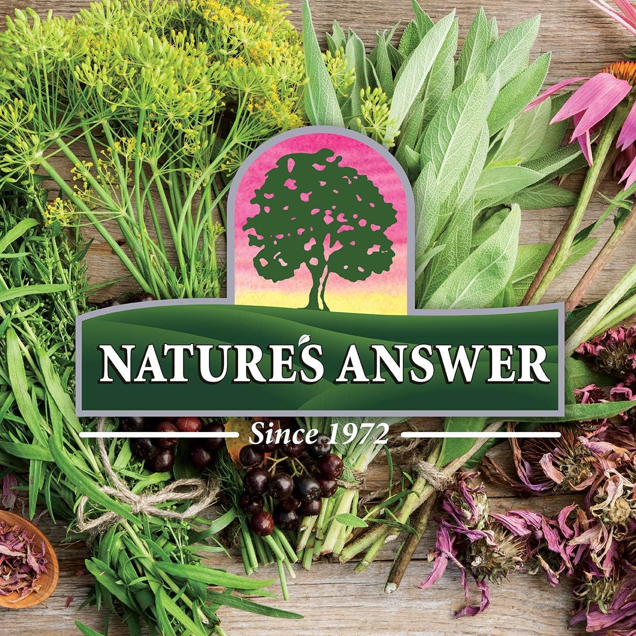 Nature's Answer Ut Answer 1955mg Veg Capsules 90's For Urinary Tract & Bladder Health