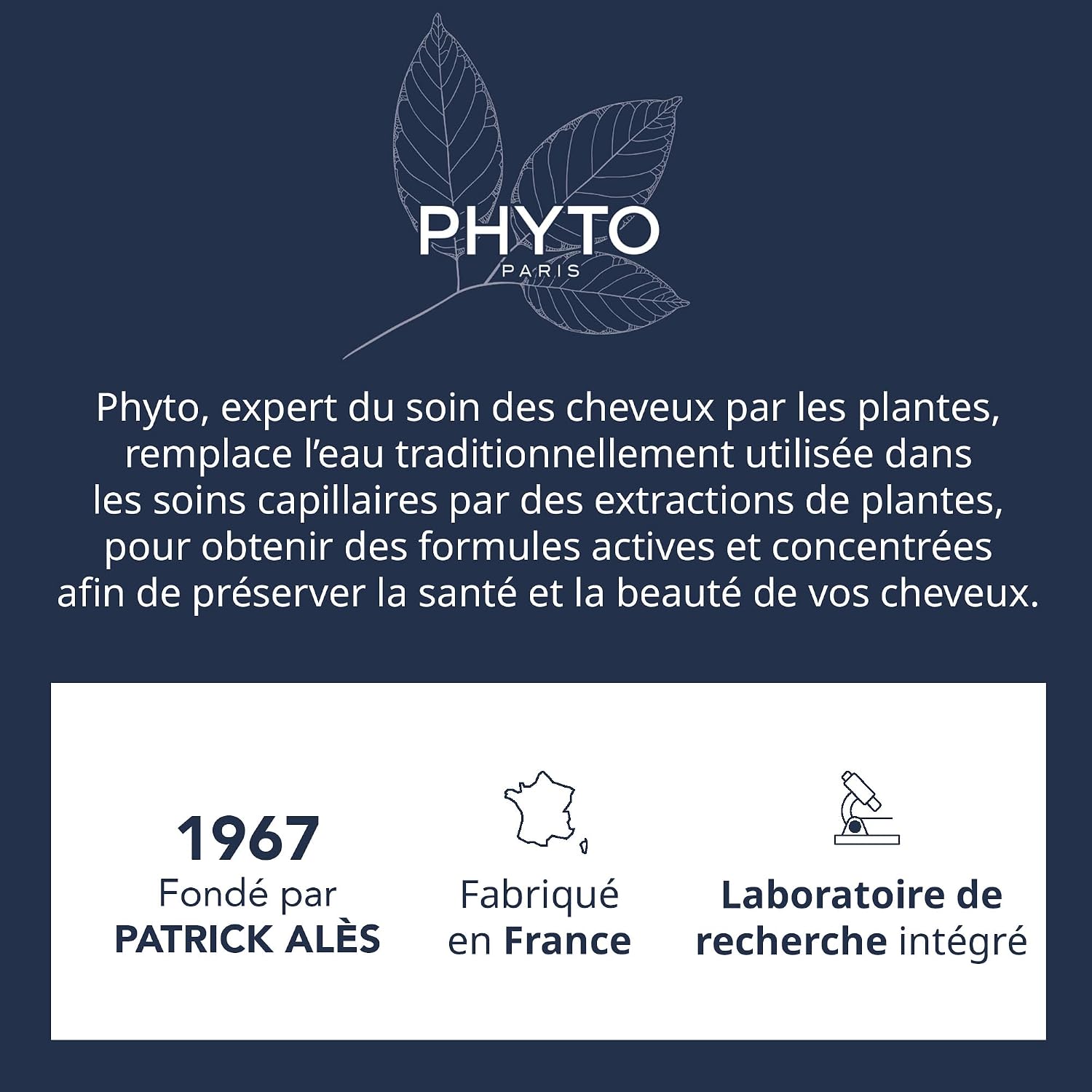 Phyto Oil-reducing Shampoo 250ml – Helps Control Excess Scalp Oil