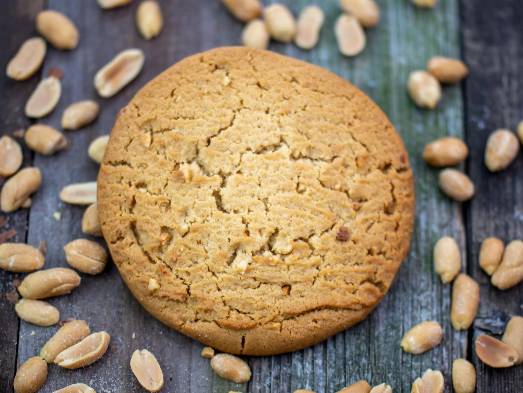 Bake City Peanut Butter Cookie 4oz