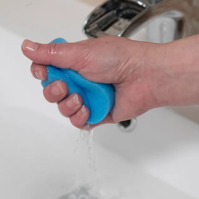 Coral Baby Sponge (5011597001634)