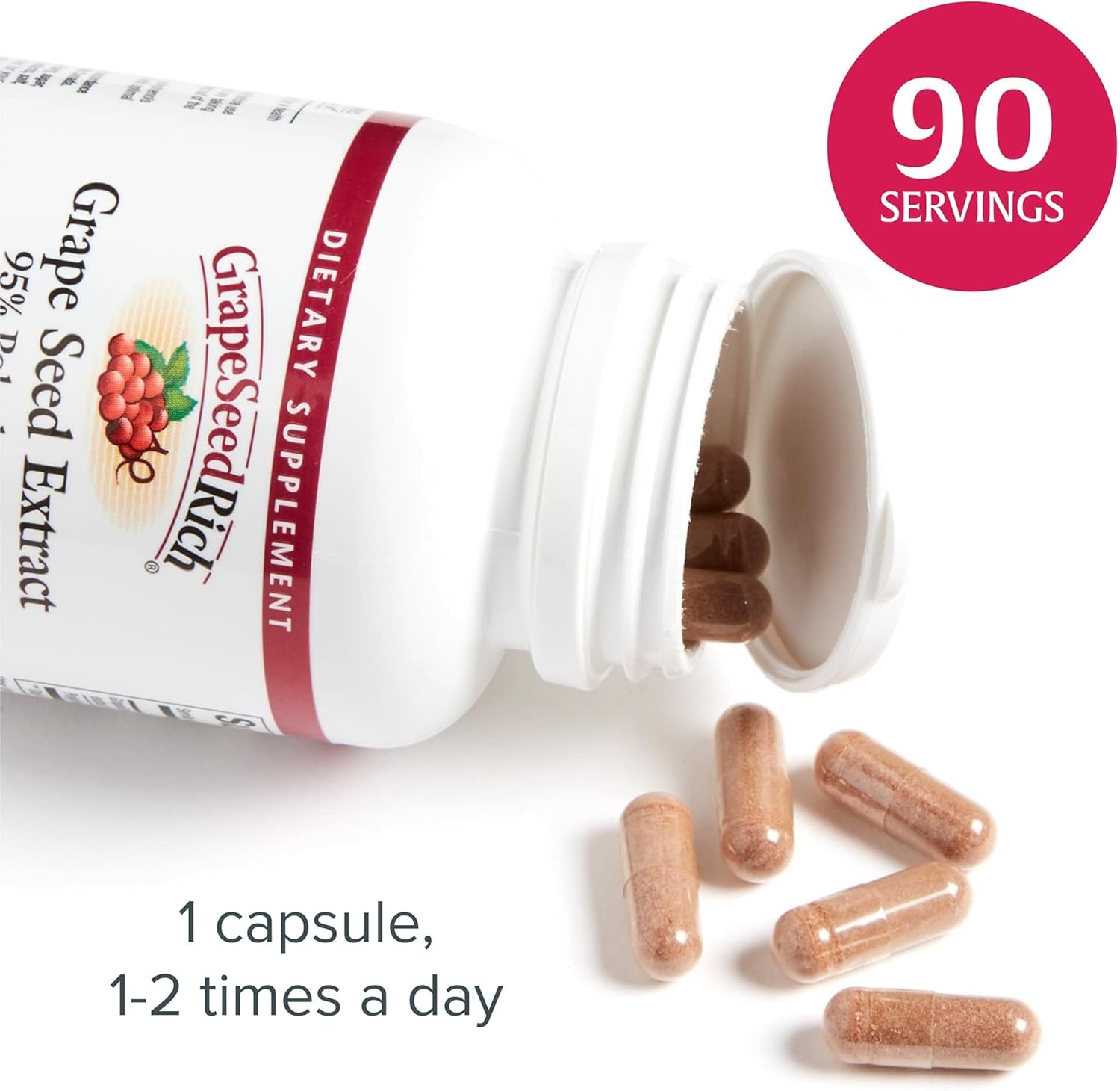 Natural Factors Grape Seed Extract 100 Mg 90 Vegcaps