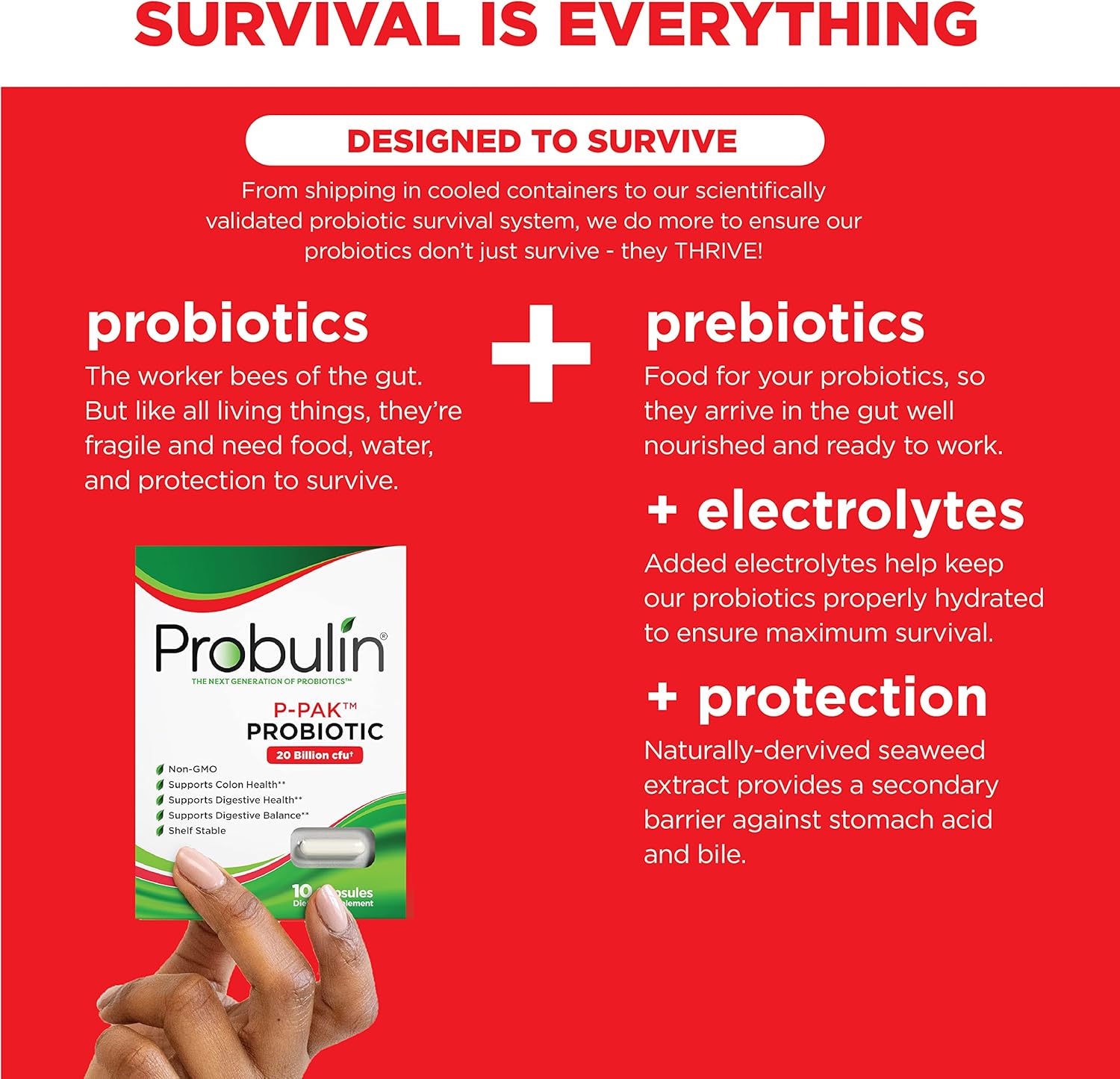 Probulin P-pack Probiotic Capsules 10's For Travel, Digestive Health & Gut Balance