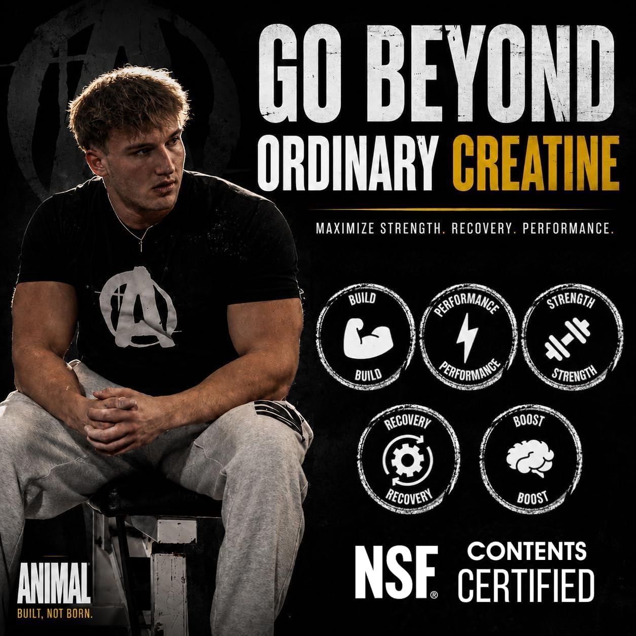 Universal Nutrition Animal Creatine Monohydrate Unflavoured Powder 300g With 5g Creatine For Strength & Muscle Performance